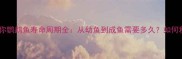 养鱼指南迷你鹦鹉鱼寿命周期全从幼鱼到成鱼需要多久如何科学饲养