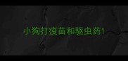 小狗打疫苗和驱虫药