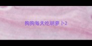 狗狗每天吃胡萝卜