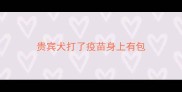 贵宾犬打了疫苗身上有包