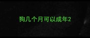 狗几个月可以成年