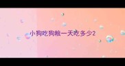 小狗吃狗粮一天吃多少