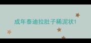 成年泰迪拉肚子稀泥状