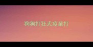 狗狗打狂犬疫苗打
