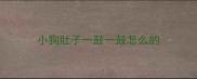 小狗肚子一鼓一鼓怎么的