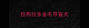 拉布拉多金毛导盲犬