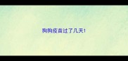 狗狗疫苗过了几天