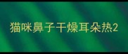 猫咪鼻子干燥耳朵热