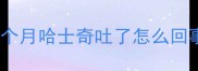 五个月哈士奇吐了怎么回事