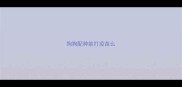 狗狗配种能打疫苗么