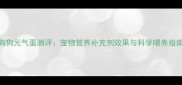 狗狗元气蛋测评宠物营养补充剂效果与科学喂养指南