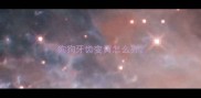 狗狗牙齿变黄怎么办