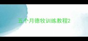 五个月德牧训练教程