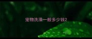 宠物洗澡一般多少钱