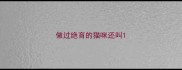做过绝育的猫咪还叫