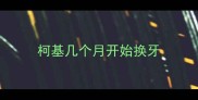 柯基几个月开始换牙