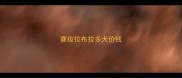 赛级拉布拉多犬价钱