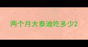 两个月大泰迪吃多少