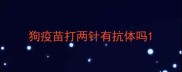 狗疫苗打两针有抗体吗