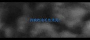 狗狗吃啥毛色漂亮