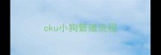 cku小狗繁殖流程
