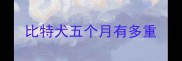 比特犬五个月有多重