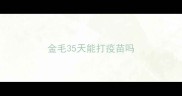 金毛35天能打疫苗吗