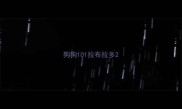 狗狗101拉布拉多