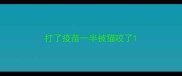 打了疫苗一半被猫咬了