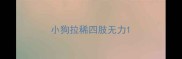 小狗拉稀四肢无力
