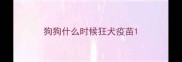 狗狗什么时候狂犬疫苗