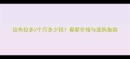 拉布拉多2个月多少钱最新价格与选购指南