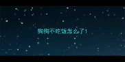 狗狗不吃饭怎么了