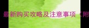 宠物雪貂哪里买最新购买攻略及注意事项附正规渠道推荐