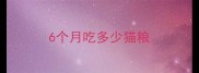 6个月吃多少猫粮