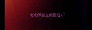 南京师皇宠物医院
