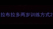 拉布拉多两岁训练方式