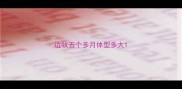 边牧五个多月体型多大