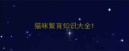 猫咪繁育知识大全