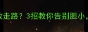 边牧出门不敢走路3招教你告别胆小自信遛狗