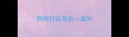 狗狗打疫苗后一直叫