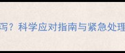 哈士奇驱虫期频繁腹泻科学应对指南与紧急处理方案附用药清单
