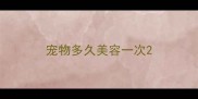 宠物多久美容一次
