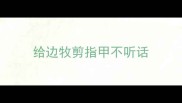 给边牧剪指甲不听话