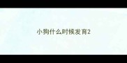 小狗什么时候发育