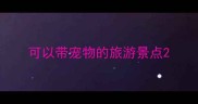 可以带宠物的旅游景点