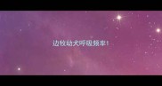 边牧幼犬呼吸频率