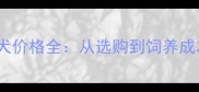 哈士奇幼犬价格全从选购到饲养成本全指南