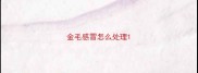 金毛感冒怎么处理