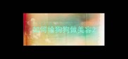 如何给狗狗做美容